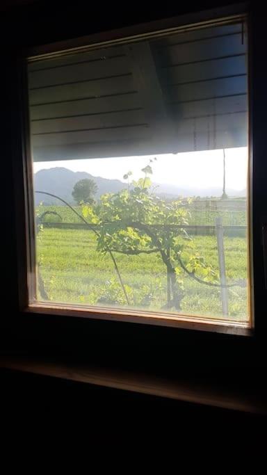 Chalet Kujavnk كراني المظهر الخارجي الصورة
